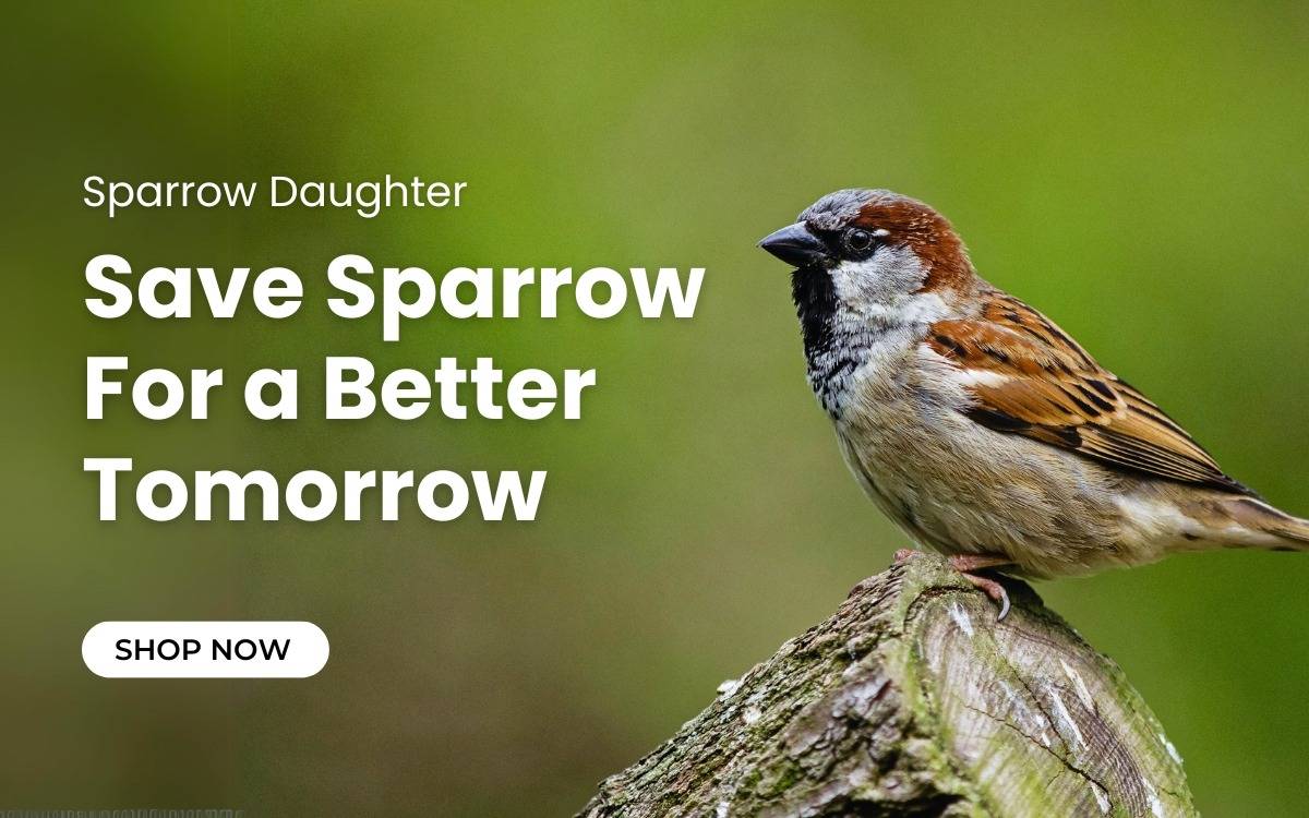 Sparrow daughter