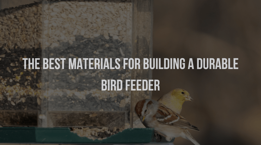 Best Materials For Building Durable Bird Feeder