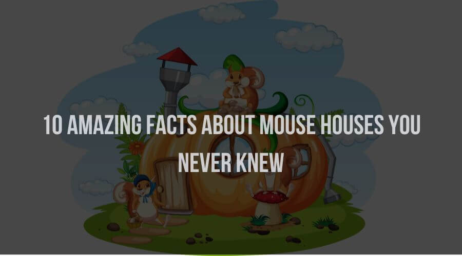 10 Amazing Facts About Mouse House You Never Knew