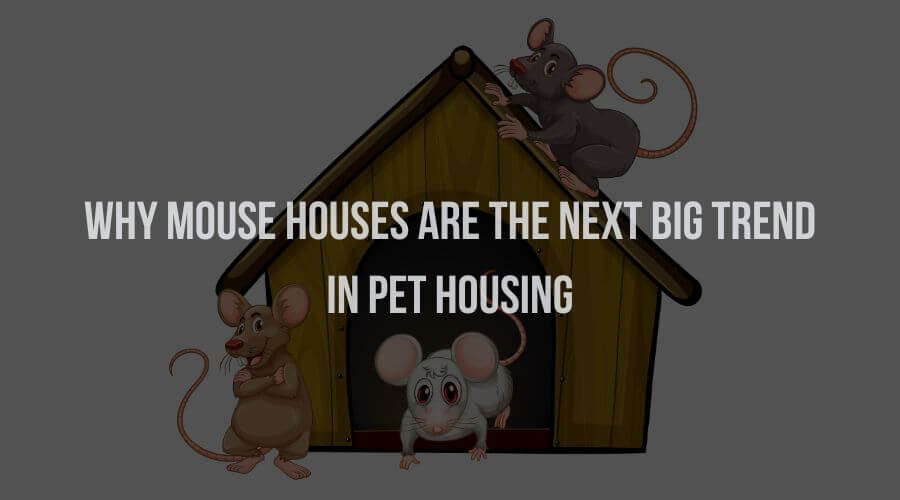 Why Mouse House are The Next Big Trend in Pet Housing