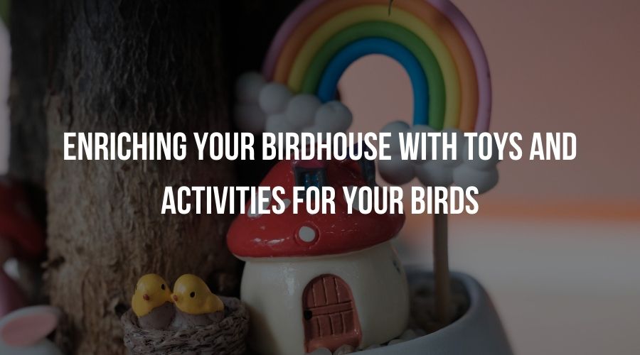 Fun and Interactive Additions to Your Birdbath for Your Sparrow Birds