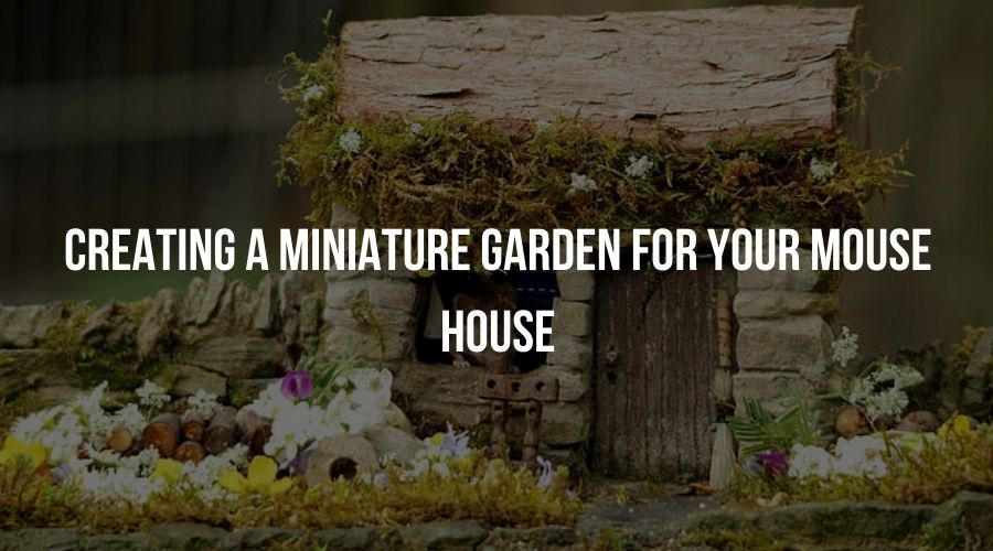 Creating a Miniature Garden for Your Mouse House
