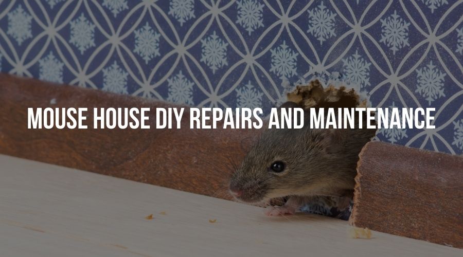Mouse House DIY Repairs and Maintenance Tips