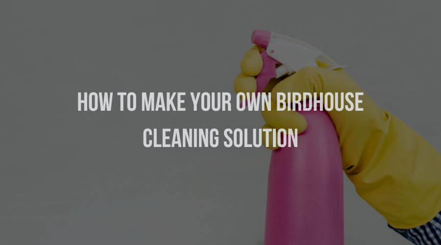 How to Make Your Own Leather Birdhouse Cleaning Solution