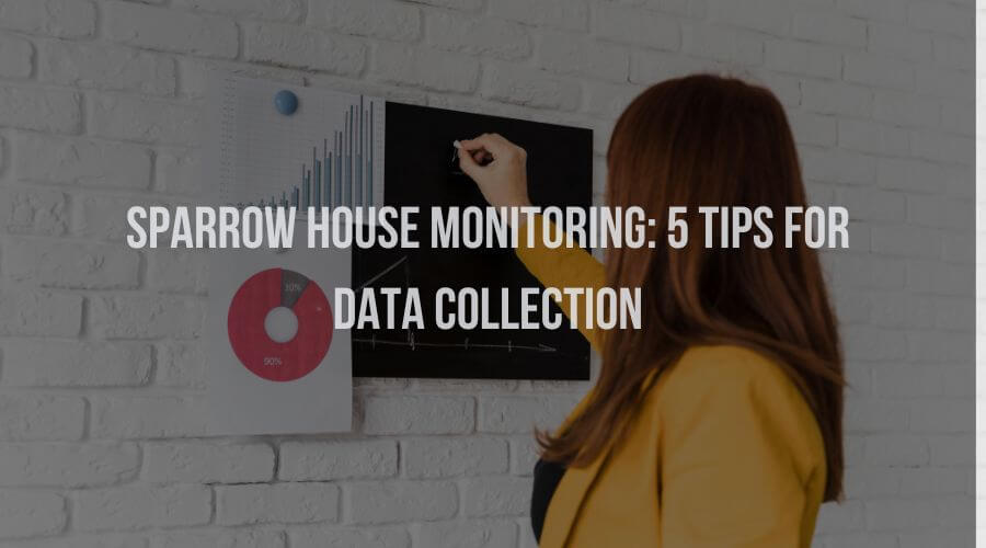 Sparrow Birdhouse Monitoring: 5 Tips for Data Collection