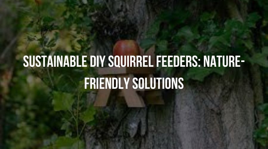 Sustainable DIY Squirrel Feeders: Nature Friendly Solutions