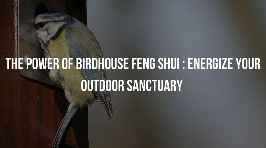The Power of Birdhouse Feng Shui: Energize Your Outdoor Sanctuary