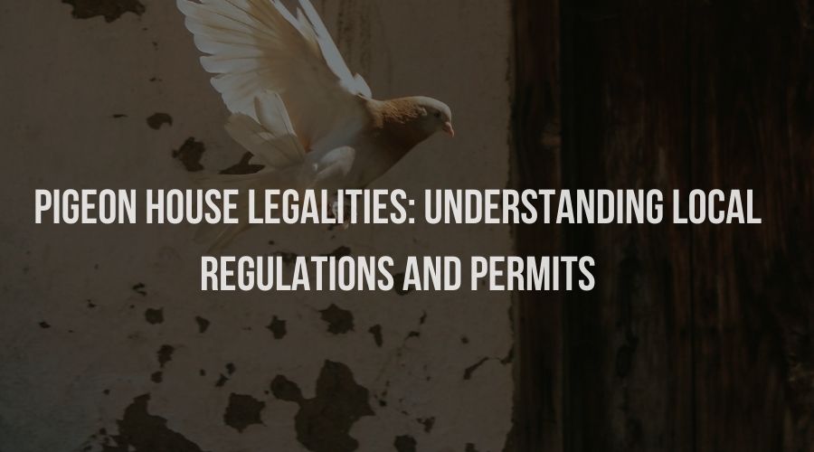 Pigeon House Legalities: Understanding Local Regulations and Permits